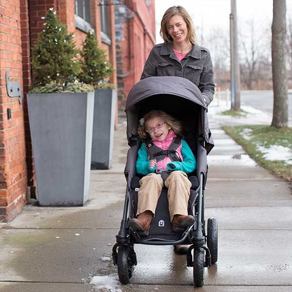 special tomato stroller used