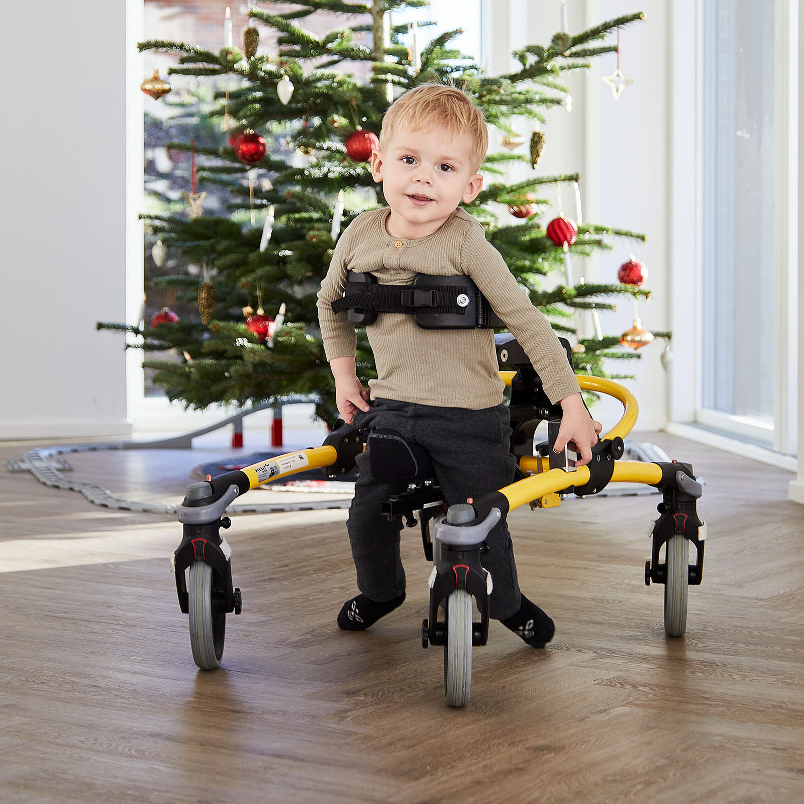 Mustang walker 2024 baby