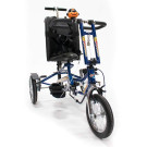 Freedom Concepts Discovery Series 12" Tricycle