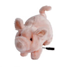 Pudgey the Adapted Piglet (switch connection shown)