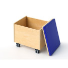 Rolling Seat and Storage Bin - Open