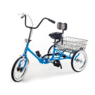 Developmental Youth Trike Single Speed with Front Caliper Brake & Coaster Brake - With Basket