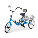 TR16-FW Developmental Youth Trike - Shown with Backrest and Weighted Pedals