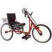 AmTryke 1024 Community Cruiser Therapeutic Tricycle