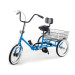 Developmental Youth Trike - Single Speed with Front Caliper Brake & Coaster Brake 