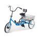 Developmental Youth Trike Adaptive Trike eSpecial Needs